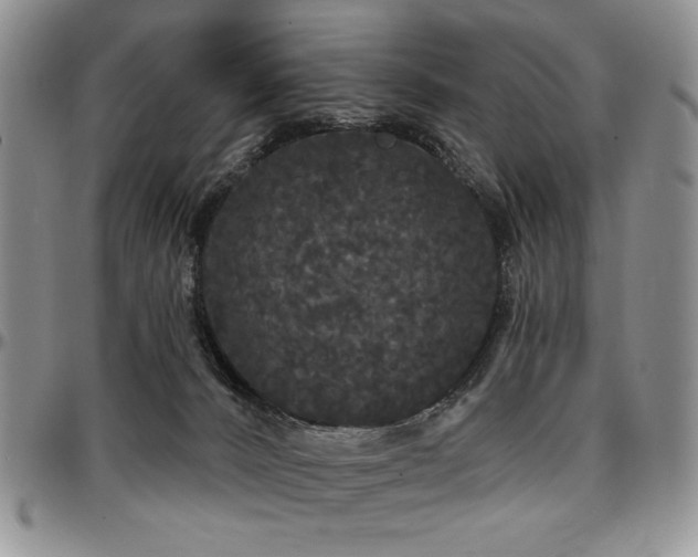 X0000097630032200802291351