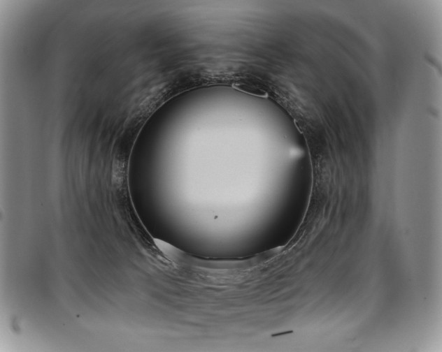 X0000097630033200802291351