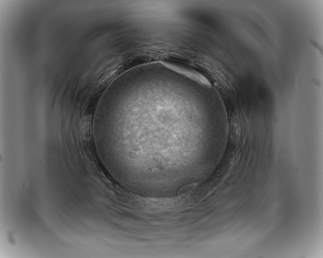 X0000097630034200802291351