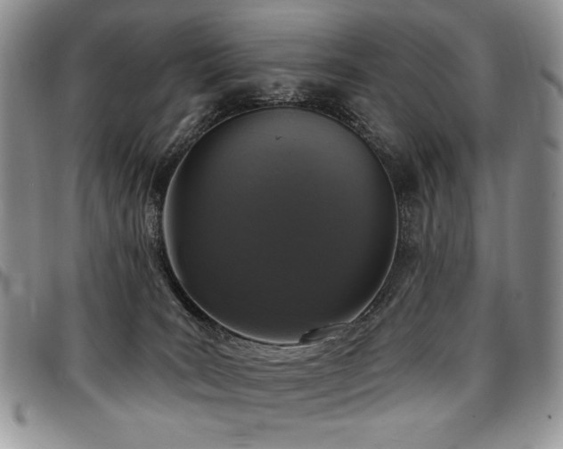 X0000097630035200802291351