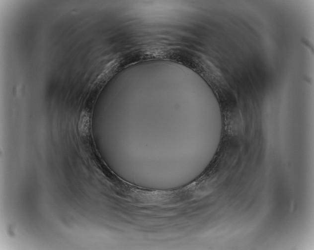 X0000097630036200802291351