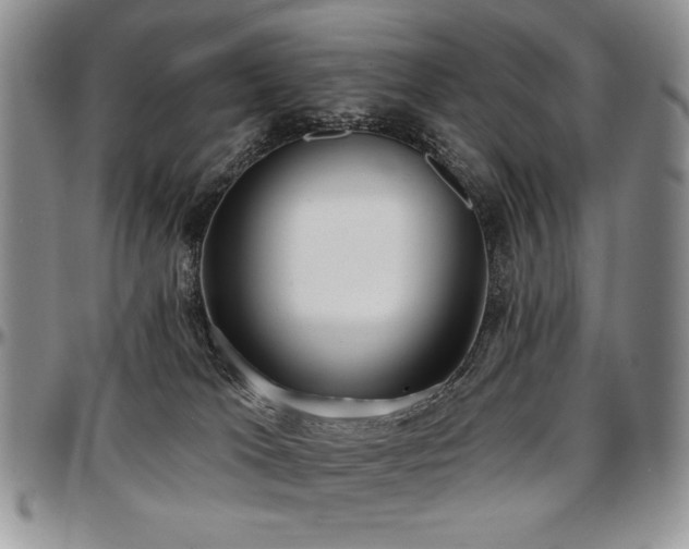 X0000097630037200802291351