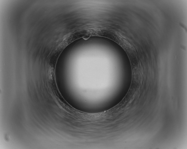 X0000097630038200802291351