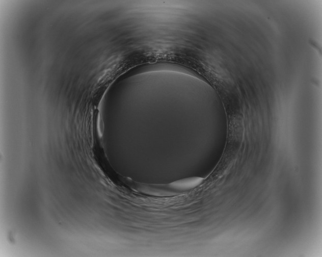 X0000097630039200802291351