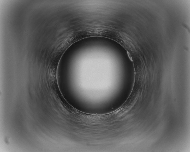 X0000097630040200802291351