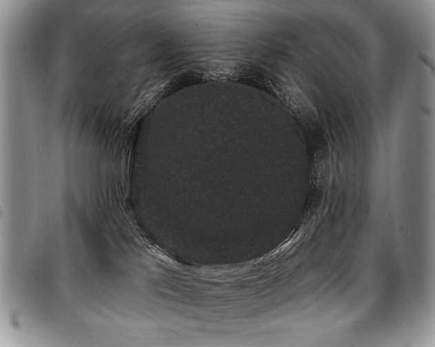 X0000097630041200802291351