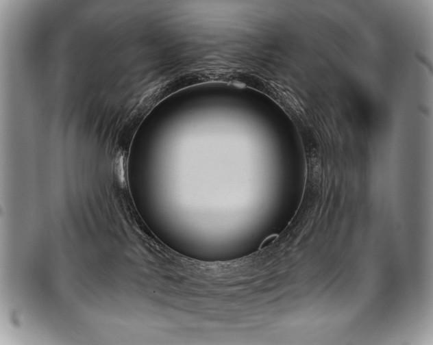 X0000097630042200802291351