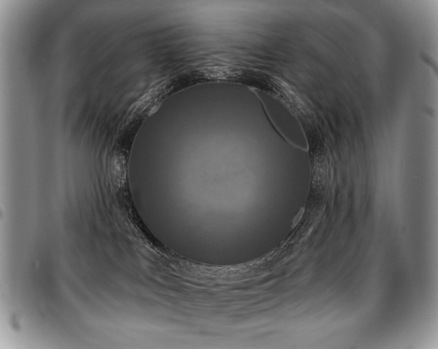 X0000097630043200802291351