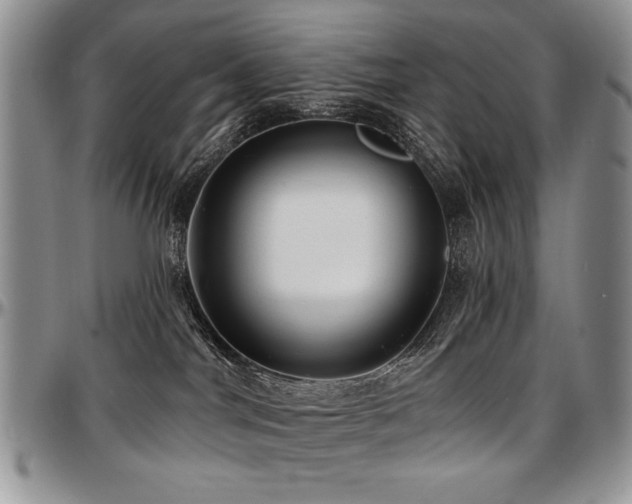 X0000097630044200802291351