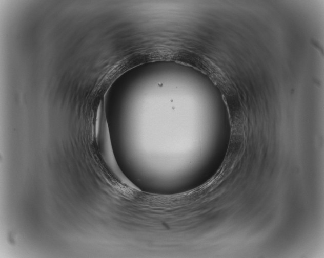 X0000097630045200802291351