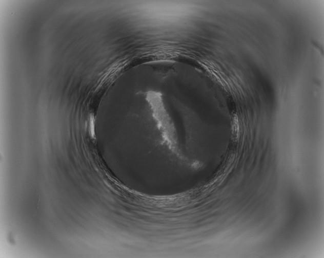 X0000097630046200802291351