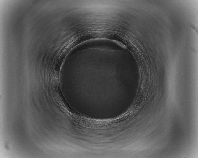 X0000097630048200802291351