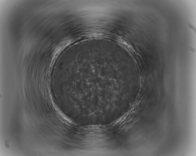 X0000097630049200802291350