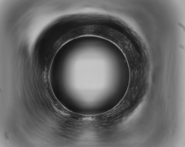 X0000097630050200802291350