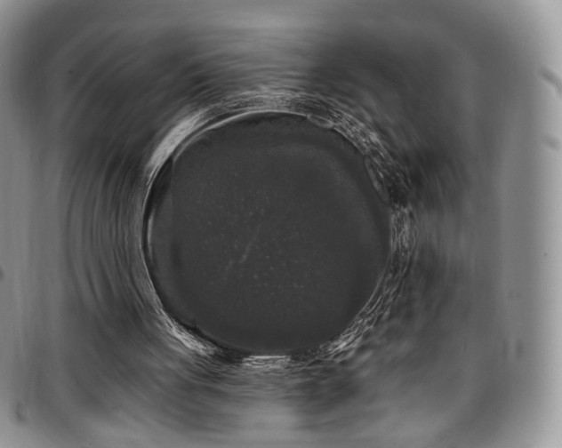 X0000097630051200802291350