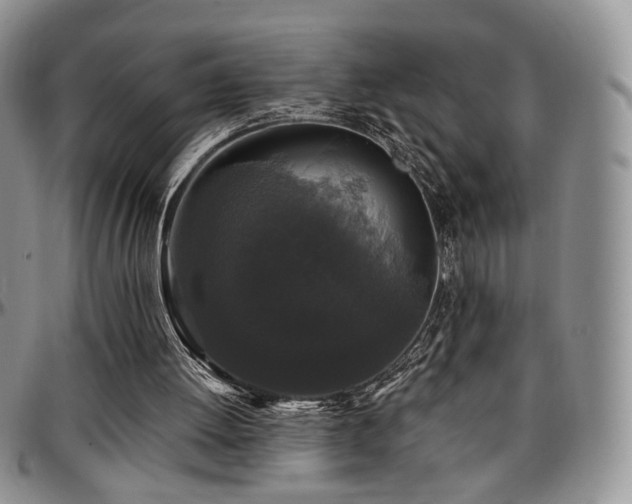 X0000097630052200802291350