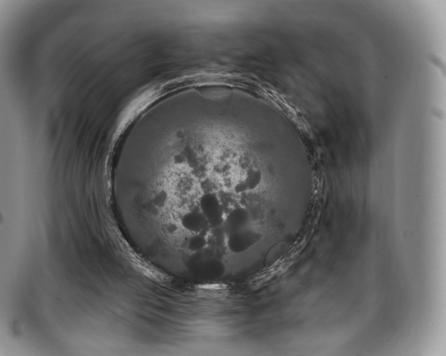 X0000097630053200802291350