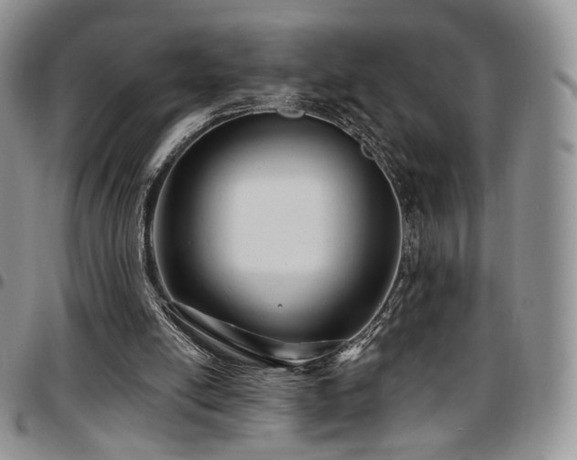 X0000097630054200802291350