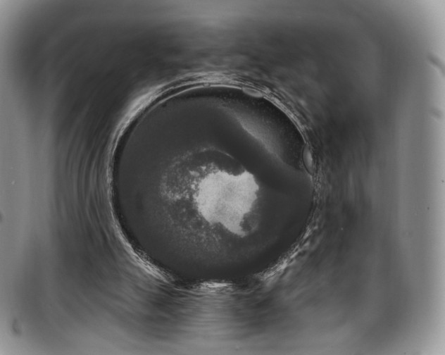 X0000097630055200802291350