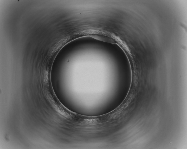 X0000097630057200802291350