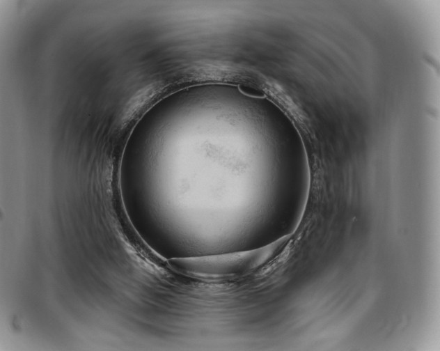 X0000097630058200802291350