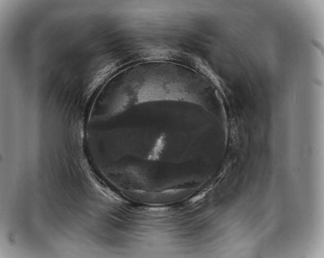 X0000097630059200802291350