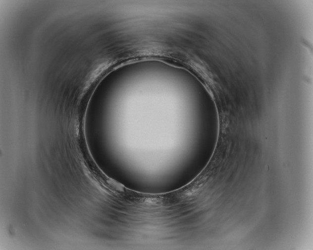 X0000097630060200802291350