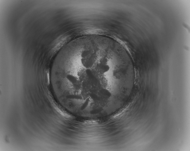 X0000097630061200802291350