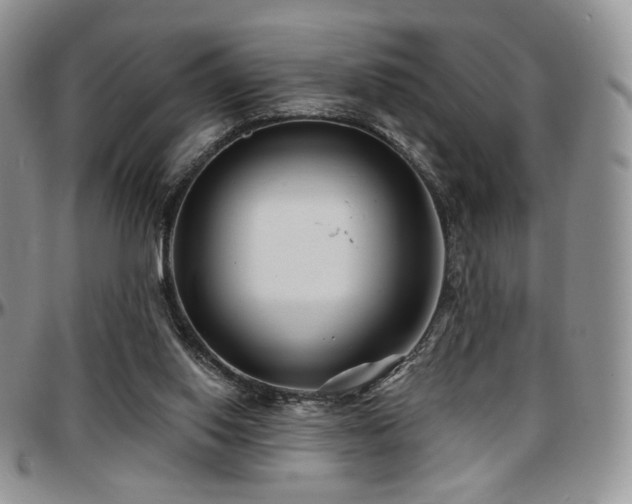 X0000097630062200802291350