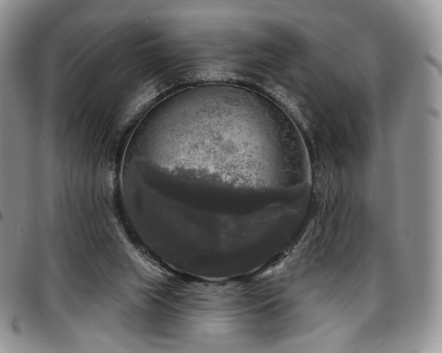 X0000097630063200802291350