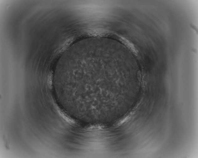 X0000097630065200802291350