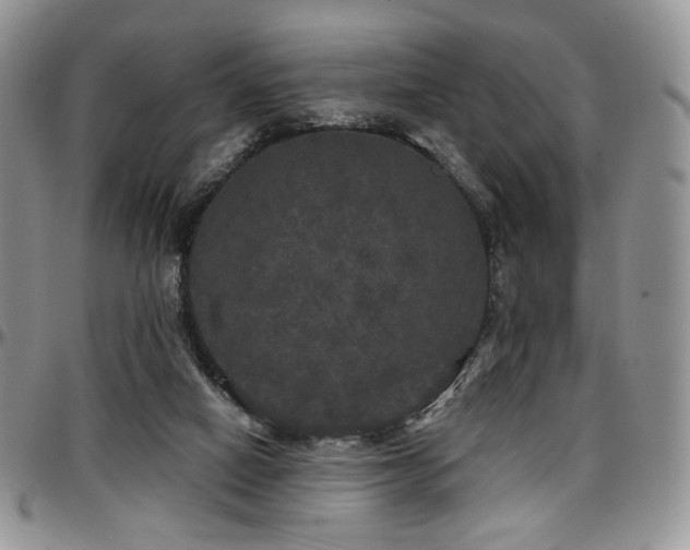 X0000097630066200802291350