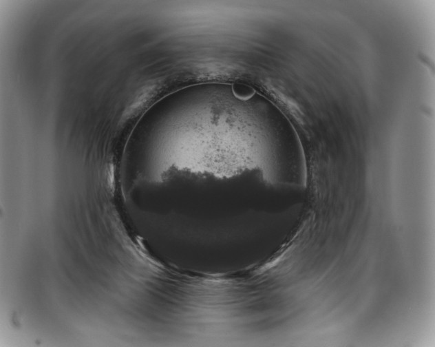 X0000097630067200802291350