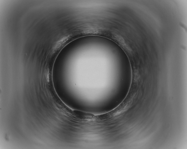 X0000097630068200802291350