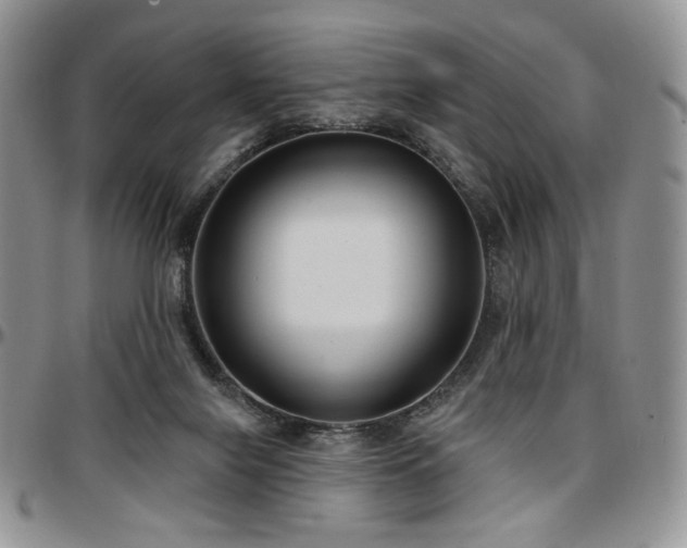 X0000097630071200802291350