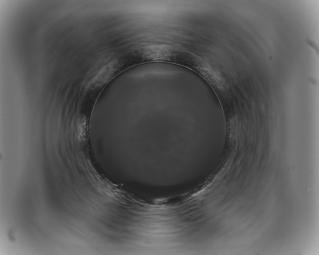 X0000097630073200802291350