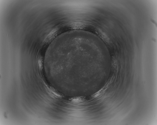 X0000097630074200802291350