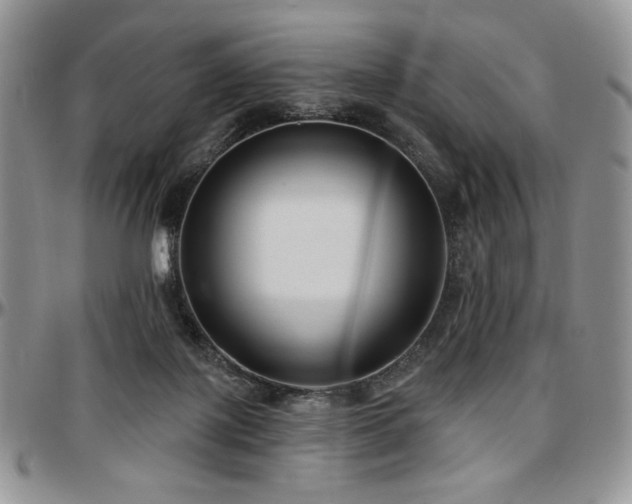 X0000097630075200802291350