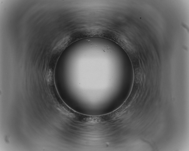 X0000097630077200802291350