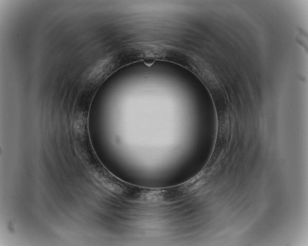 X0000097630078200802291350