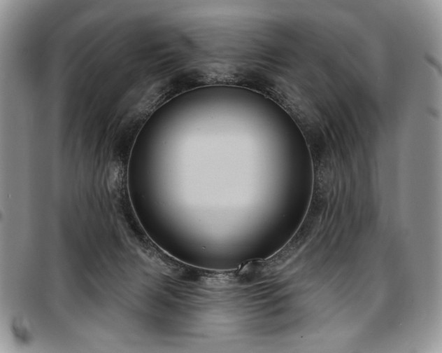 X0000097630079200802291350