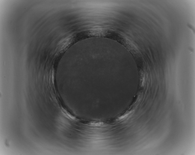 X0000097630080200802291350