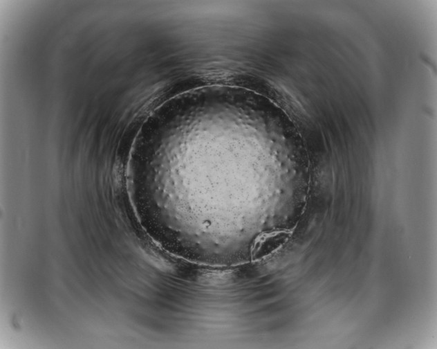 X0000097630081200802291350