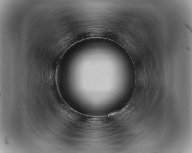 X0000097630082200802291350