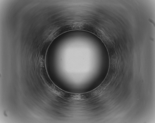 X0000097630083200802291350