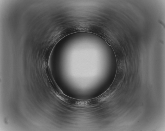 X0000097630084200802291350