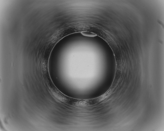 X0000097630086200802291350