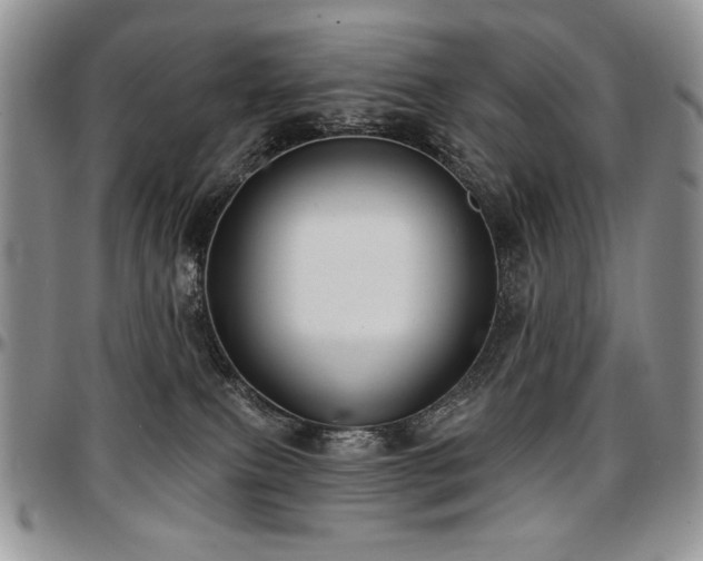 X0000097630087200802291350