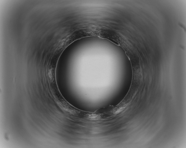 X0000097630088200802291350