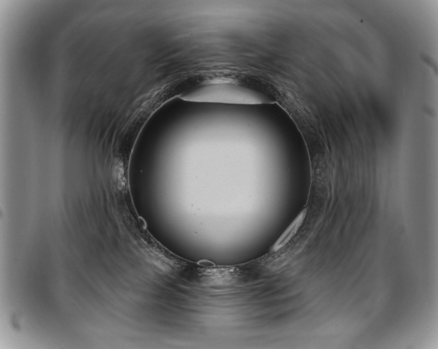 X0000097630089200802291350